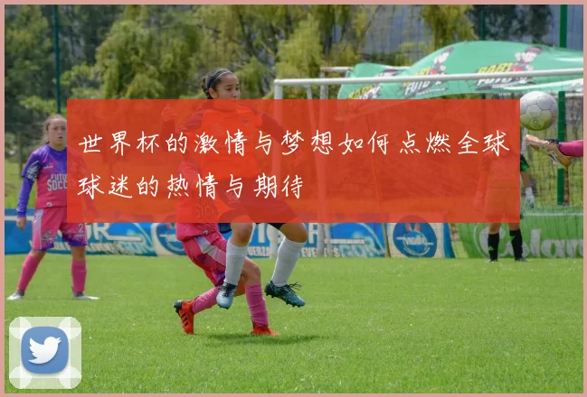 世界杯的激情与梦想如何点燃全球球迷的热情与期待