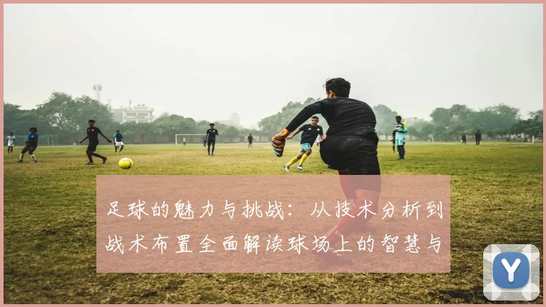 足球的魅力与挑战：从技术分析到战术布置全面解读球场上的智慧与激情