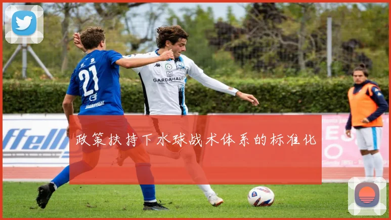 政策扶持下水球战术体系的标准化