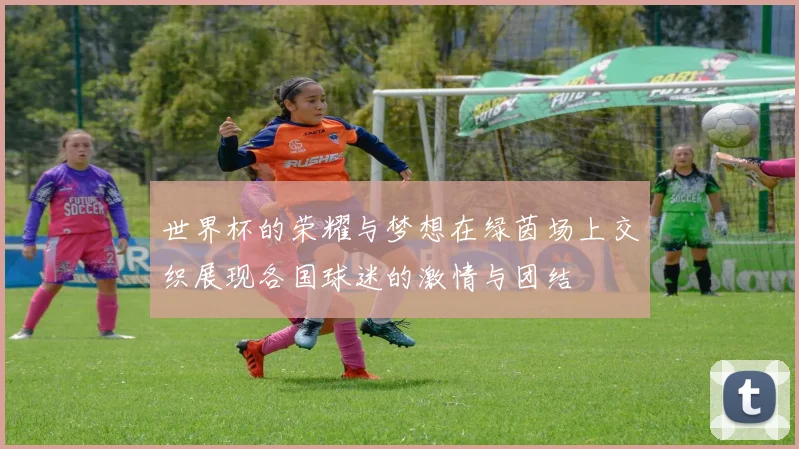 世界杯的荣耀与梦想在绿茵场上交织展现各国球迷的激情与团结
