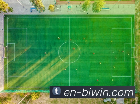 biwin发展历程