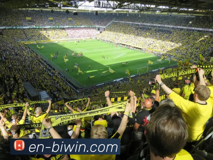 App Interface Preview