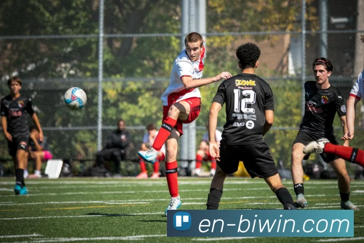 从绿茵战术到球星传奇全面解析现代足球发展新趋势与影响力量